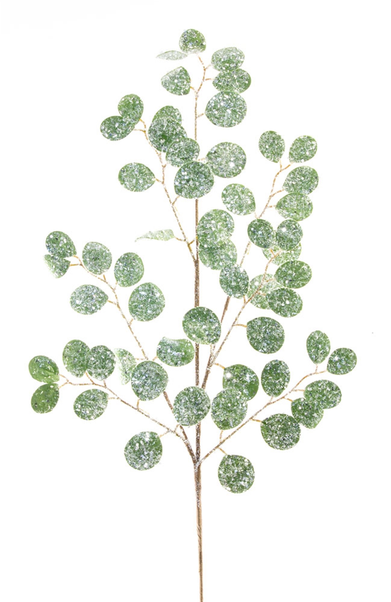 Frosted Silver Dollar Spray