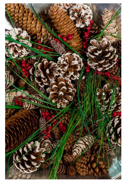 Garden Route Winter Pine Botanical Blend Potpourri