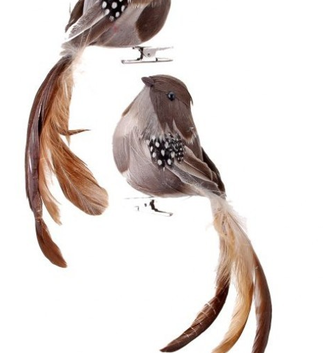 Natural Feathered Long Tail Bird Ornament (2-Styles)
