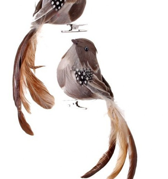Natural Feathered Long Tail Bird Ornament (2-Styles)
