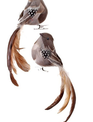 Natural Feathered Long Tail Bird Ornament (2-Styles)