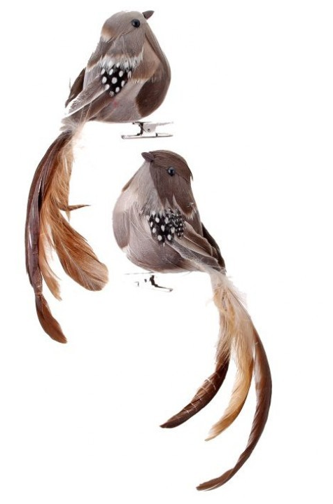 Natural Feathered Long Tail Bird Ornament (2-Styles)