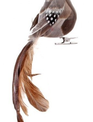 Natural Feathered Long Tail Bird Ornament (2-Styles)