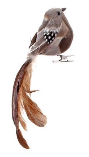Natural Feathered Long Tail Bird Ornament (2-Styles)