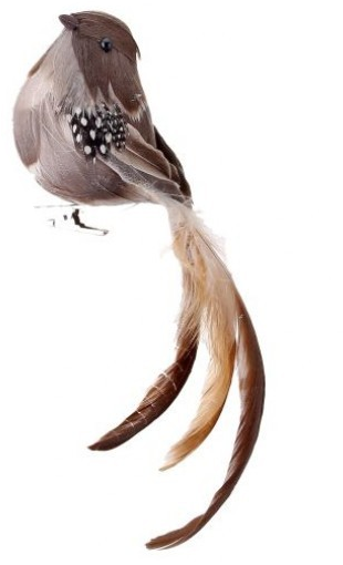 Natural Feathered Long Tail Bird Ornament (2-Styles)