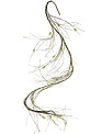 6-Ft Twig Leaf Vine Garland