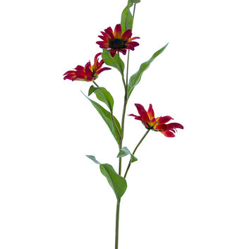 Sunburst Black-Eyed Susan Spray (4-Colors)