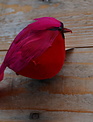 Clip-On 5" Fat Cardinal