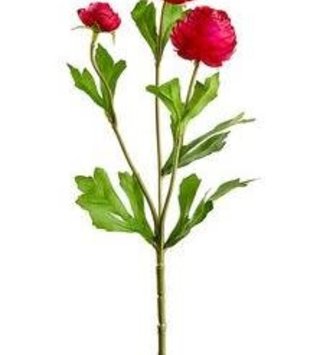 Mini Ranunculus Spray (5-Colors)