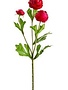Mini Ranunculus Spray (5-Colors)