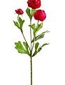 Mini Ranunculus Spray (5-Colors)
