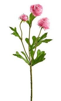 Mini Ranunculus Spray (5-Colors)