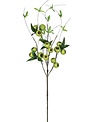 Green Willow Berry Pod Spray