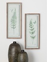 Framed Forest Fern Print (2-Styles)