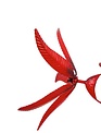 Solar Cardinal Wind Spinner Stake