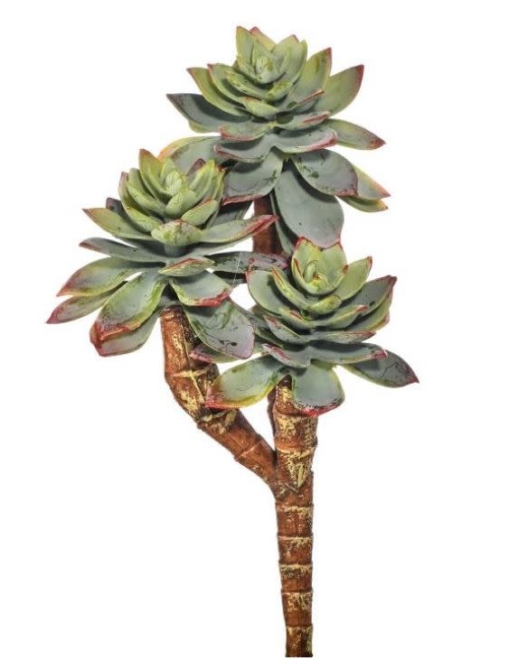 Triple Star Succulent Pick