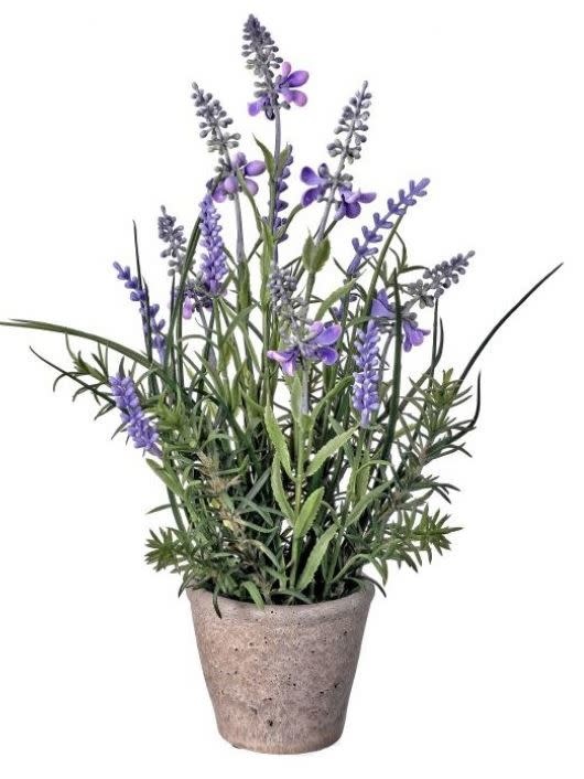 Garden Lavender in Cement Pot (2-styles)