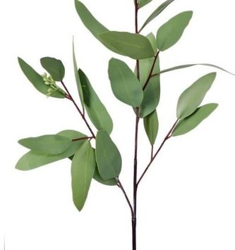 19" Leaf Eucalyptus Stem