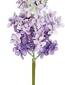 19.5" Lilac Pick (3-Colors)