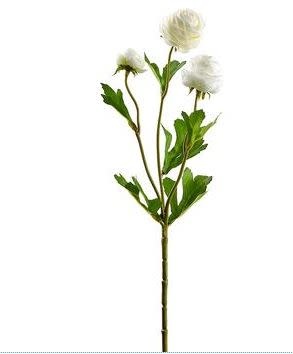 Mini Ranunculus Spray (5-Colors)