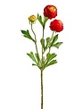 Mini Ranunculus Spray (5-Colors)