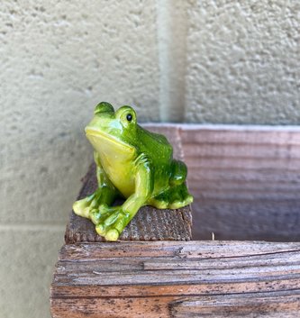 Mini Sitting Frog