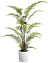 38'' Leather Leaf Fern in  Cement Pot