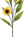 Black-Eyed Susan Spray (2-colors)