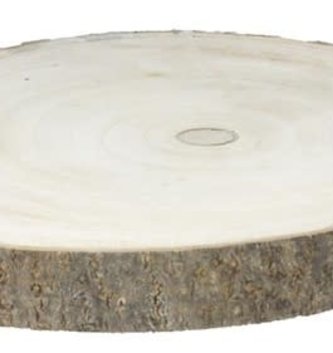 Large Birch Log Slice