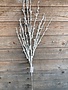 Iced Crystal Branch