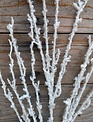 Iced Crystal Branch
