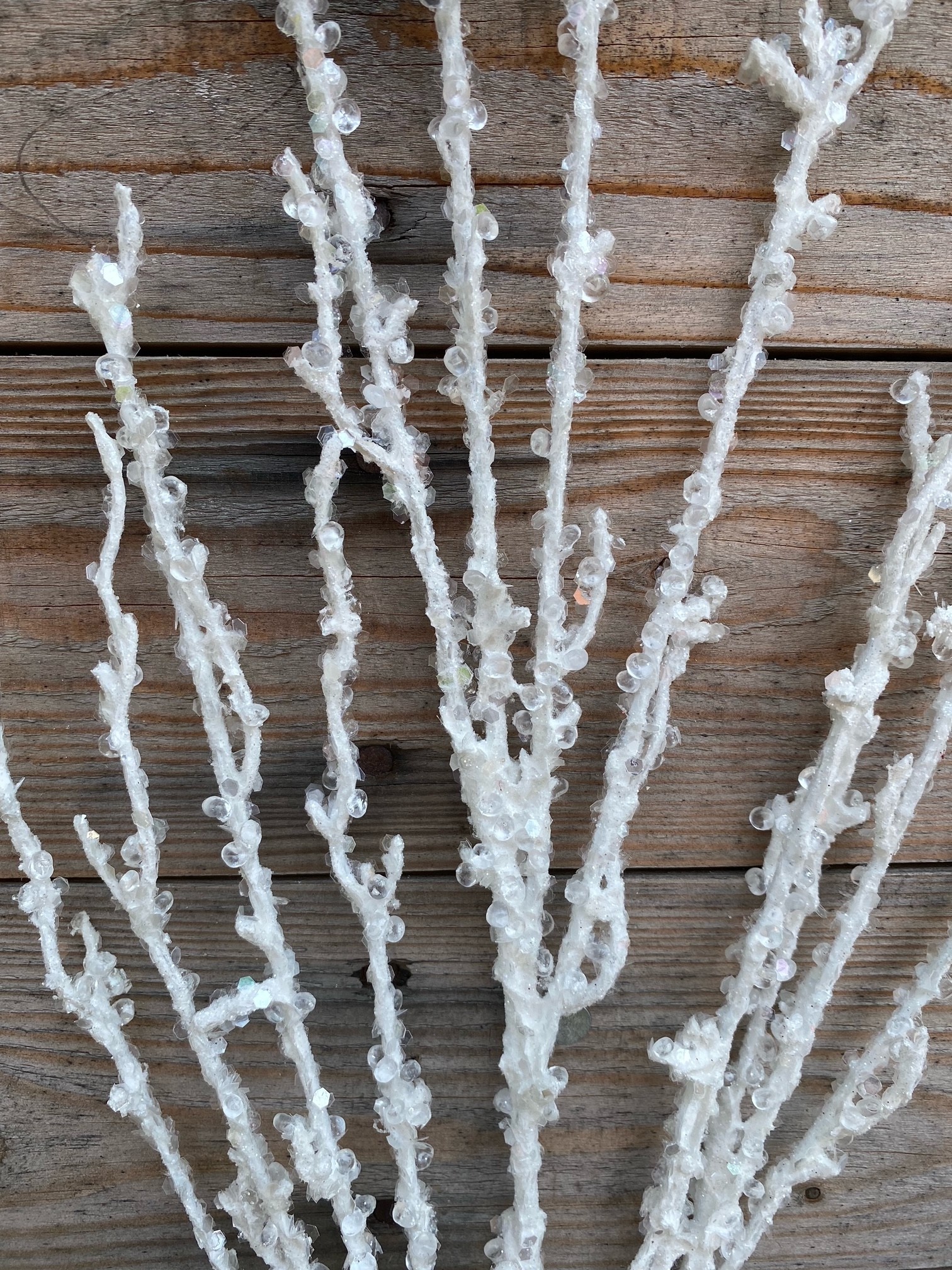 Iced Crystal Branch