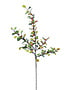 Boxwood Berry Spray (3-Colors)