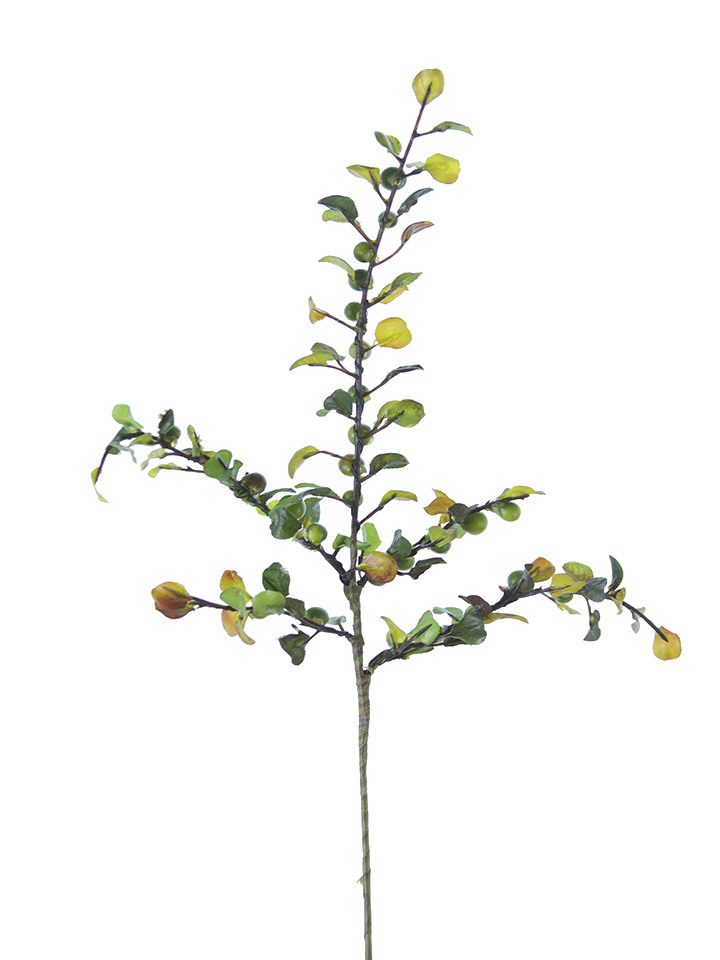 Boxwood Berry Spray (3-Colors)