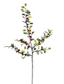 Boxwood Berry Spray (3-Colors)