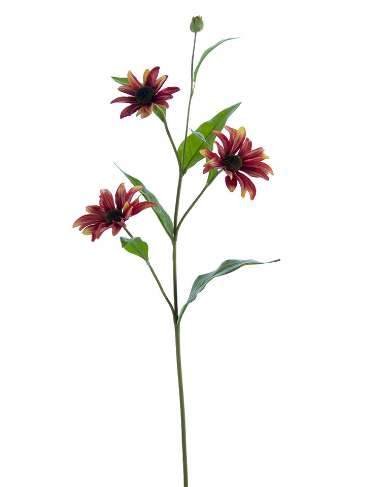 Sunburst Black-Eyed Susan Spray (3-Colors)