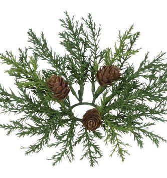 Arborvitae Taper Candle Ring