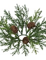 Arborvitae Taper Candle Ring