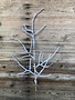 36" Snow Twig Branch