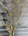 39" Gold Ice Branch