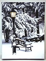 LED Tabletop Snowy Winter Scene Canvas