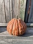 Striped Pottery Gourd (2-Colors/3-Sizes)