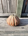 Striped Pottery Gourd (2-Colors/3-Sizes)