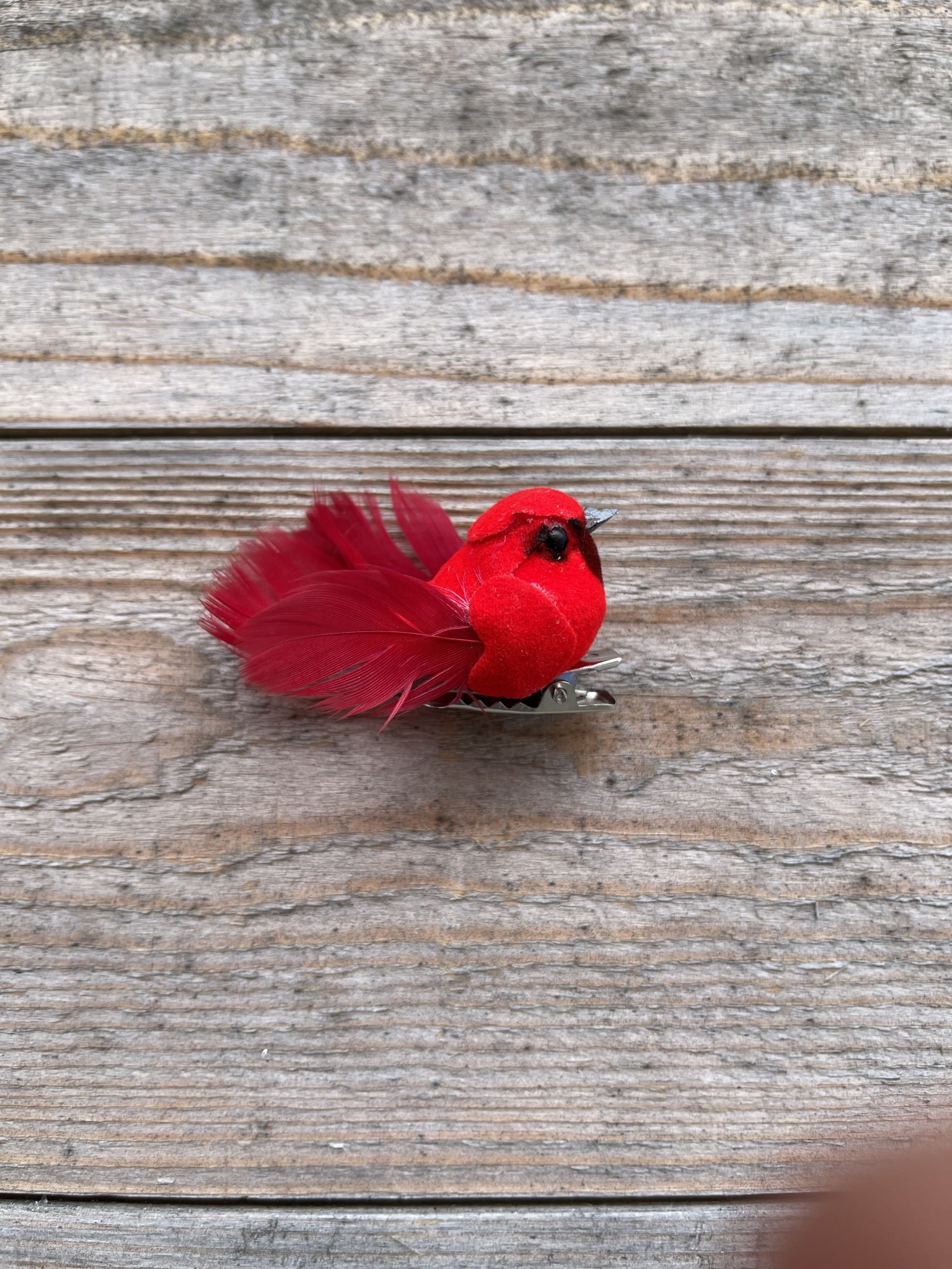 Clip on Teeny Cardinal