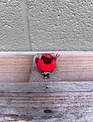 Clip on Teeny Cardinal