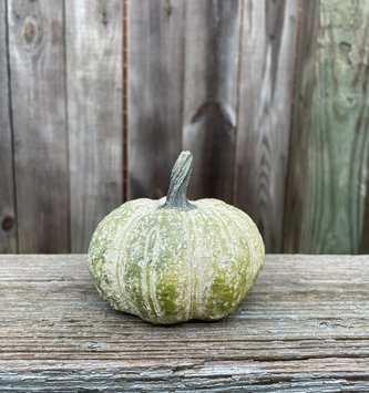 Small Speckled Green Pottery Pumpkin