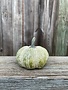 Small Speckled Green Pottery Pumpkin