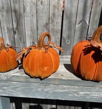 Set of 3 Harvest Velvet Resin Pumpkins