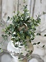 Seraph Vine Candle Ring (3-sizes)