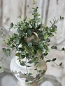 Seraph Vine Candle Ring (3-sizes)